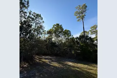1259 E Gulf Beach Dr, Saint George Island, FL 32328 - Photo 12