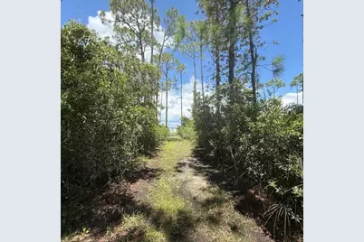 1259 E Gulf Beach Dr, Saint George Island, FL 32328 - Photo 8