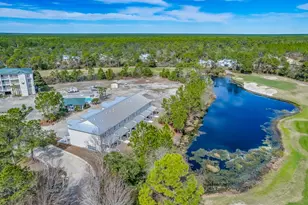 715 Eagles Way, Carrabelle, FL 32323 - Photo 10
