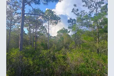 368 Ridgecrest Pkwy, Eastpoint, FL 32328 - Photo 4