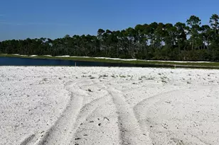 274 Hollis Ave, Port Saint Joe, FL 32456 - Photo 2