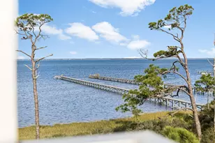 257 Bay Hibiscus Dr, Cape San Blas, FL 32456 - Photo 80