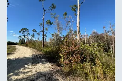 Lot 2 McClellan St SE, Kinard, FL 32449 - Photo 16