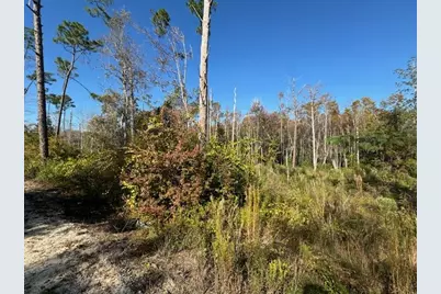 Lot 2 McClellan St SE, Kinard, FL 32449 - Photo 12