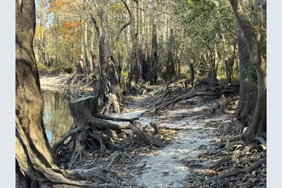Lot 2 McClellan St SE, Kinard, FL 32449 - Photo 10