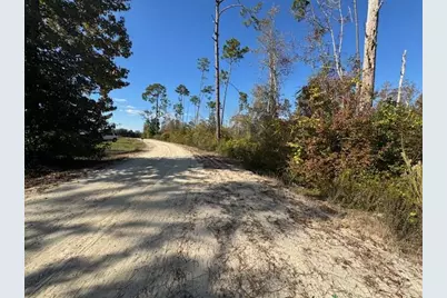Lot 2 McClellan St SE, Kinard, FL 32449 - Photo 1