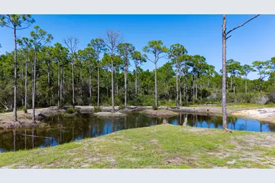 689 Longwood Ct, Eastpoint, FL 32328 - Photo 42