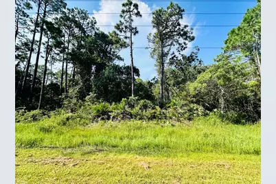 265 Twin Lakes Rd, Eastpoint, FL 32328 - Photo 2