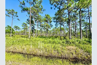 248 Smith St, Eastpoint, FL 32328 - Photo 12
