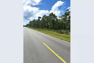 259 Twin Lakes Rd, Eastpoint, FL 32328 - Photo 14
