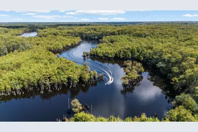 492 Land Dr, Wewahitchka, FL 32465 - Photo 26