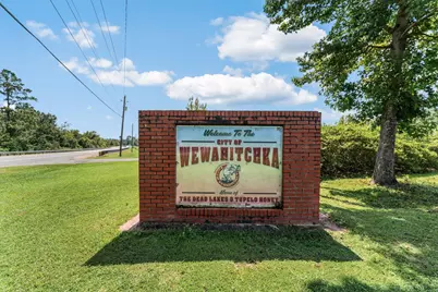 492 Land Dr, Wewahitchka, FL 32465 - Photo 40