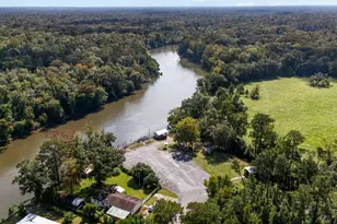 492 Land Dr, Wewahitchka, FL 32465 - Photo 52