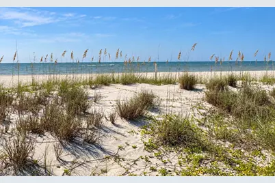 1580 Indian Pass Rd, Port Saint Joe, FL 32456 - Photo 32