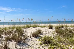 1580 Indian Pass Rd, Port Saint Joe, FL 32456 - Photo 32