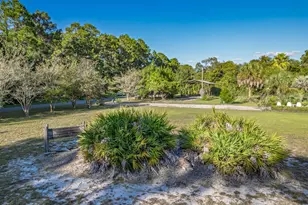 155 Putnal St, Carrabelle, FL 32322 - Photo 50