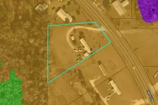 839 Hwy 71 N, Wewahitchka, FL 32465 - Photo 8