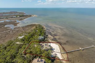 1419 Dove Ln, Saint George Island, FL 32328 - Photo 74