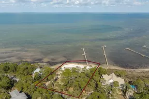 1419 Dove Ln, Saint George Island, FL 32328 - Photo 74