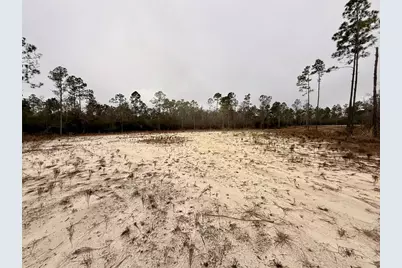 Tbd E Creekview Dr, Wewahitchka, FL 32465 - Photo 12