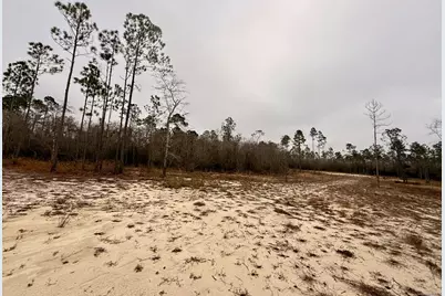 Tbd E Creekview Dr, Wewahitchka, FL 32465 - Photo 8