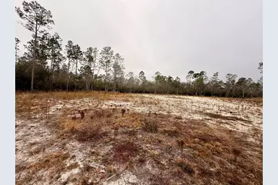 Tbd E Creekview Dr, Wewahitchka, FL 32465 - Photo 10