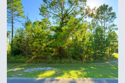 213 Stingray Ln, Port Saint Joe, FL 32456 - Photo 1