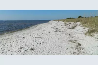264 Sea Grove Way, Port Saint Joe, FL 32456 - Photo 22