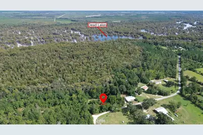 388 N Bass Dr, Wewahitchka, FL 32465 - Photo 4