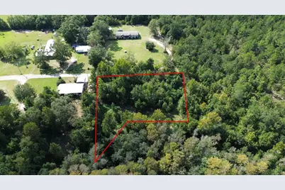 388 N Bass Dr, Wewahitchka, FL 32465 - Photo 8