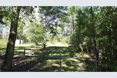 6795 Larimore St, Wewahitchka, FL 32465 - Photo 1