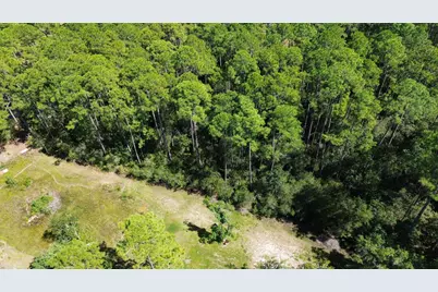 6795 Larimore St, Wewahitchka, FL 32465 - Photo 4
