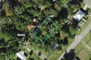 163 13th St, Apalachicola, FL 32320 - Photo 1