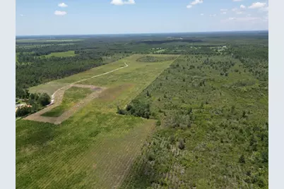 Lot 1 Hwy 71, Wewahitchka, FL 32465 - Photo 14