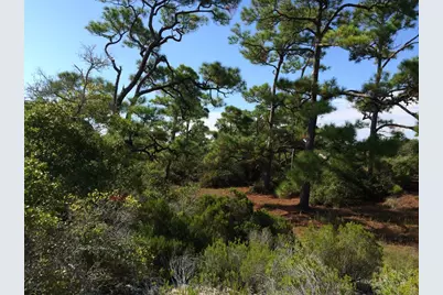 1320 Azalea Dr, Saint George Island, FL 32328 - Photo 4