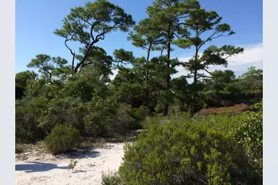 1320 Azalea Dr, Saint George Island, FL 32328 - Photo 2