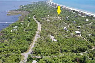 1320 Azalea Dr, Saint George Island, FL 32328 - Photo 1