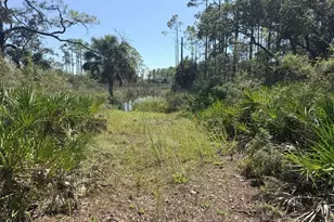 140 Jeffie Tucker Rd, Eastpoint, FL 32328 - Photo 18