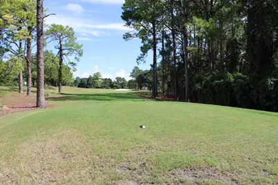 257 Royal Tern Way, Carrabelle, FL 32322 - Photo 2