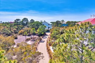 1464 Bayberry Ln, Saint George Island, FL 32328 - Photo 76