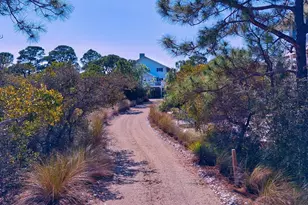 1464 Bayberry Ln, Saint George Island, FL 32328 - Photo 2