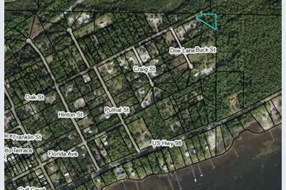 2664 Oak St, Carrabelle, FL 32322 - Photo 10