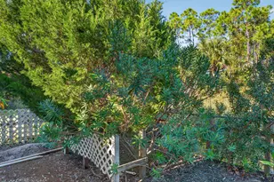323 Bradford St, Saint George Island, FL 32328 - Photo 52