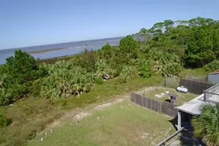 37 E Pine Ave, Saint George Island, FL 32328 - Photo 54