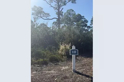 393 Cord Grass Way, Cape San Blas, FL 32456 - Photo 2