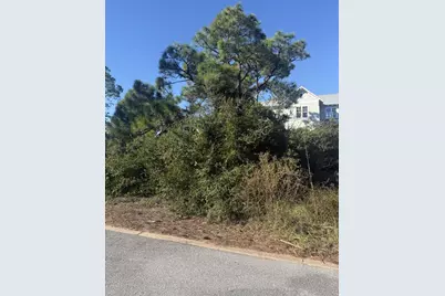 393 Cord Grass Way, Cape San Blas, FL 32456 - Photo 6