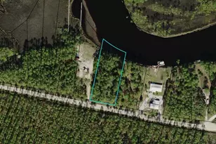 907 Mill Rd, Carrabelle, FL 32322 - Photo 1