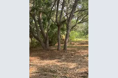 1707 Carrabelle Beach Dr, Carrabelle, FL 32322 - Photo 1