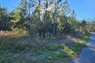 915 NE 6th St, Carrabelle, FL 32322 - Photo 1
