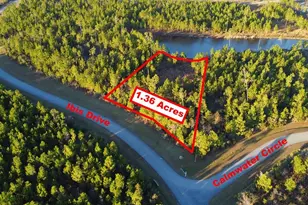 Lot 157 Ibis Dr, Wewahitchka, FL 32465 - Photo 1